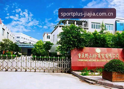 加加体育官网地址究竟怎么样？为什么成为体育迷的首选入口？